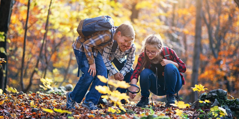 Surt De Recerca Per Catalunya Incluye Las Actividades De Voluntariado Ambiental En Su Agenda De Actividades